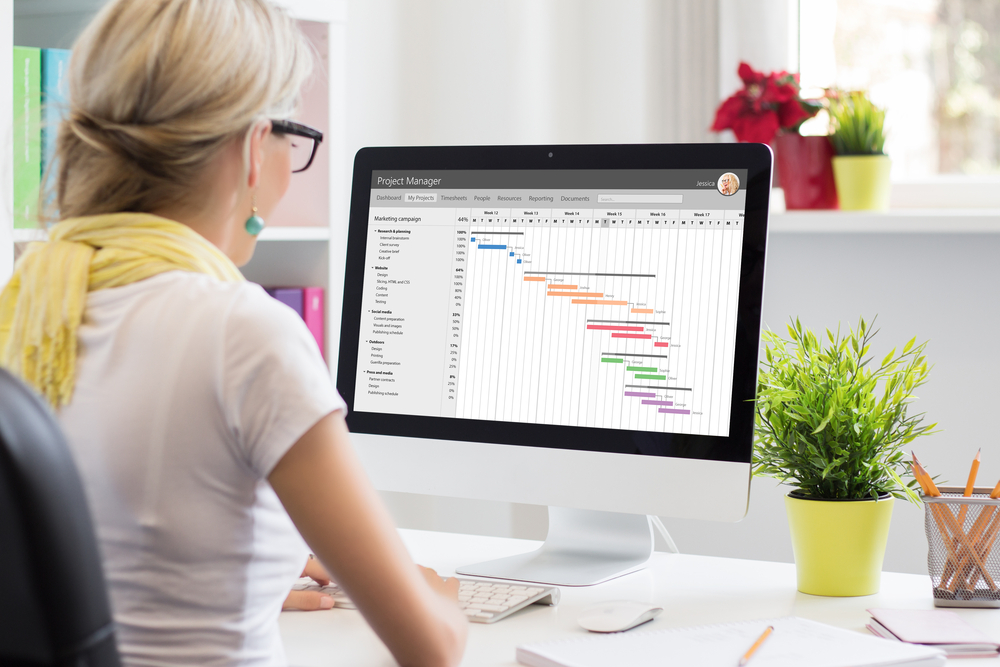 Due Diligence Management and Analysis Services